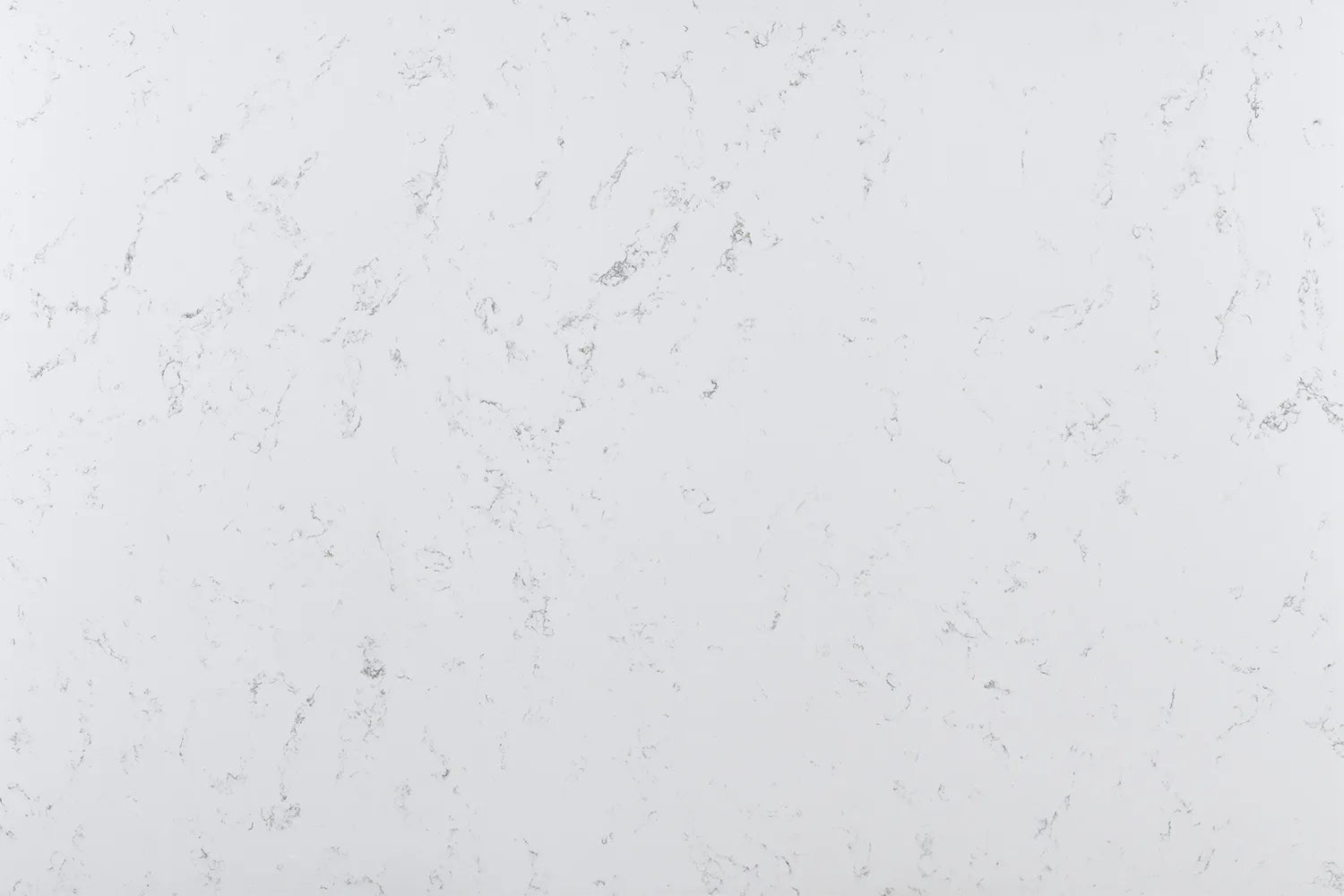 BIANCO SWAN