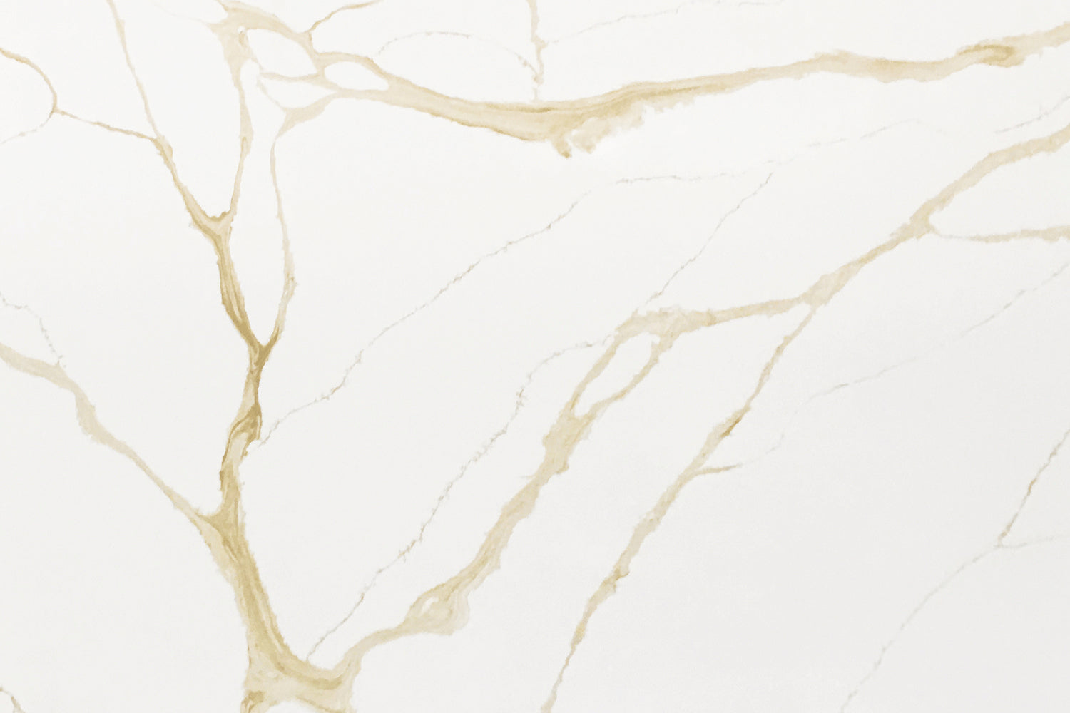Calacatta Fantasy Gold