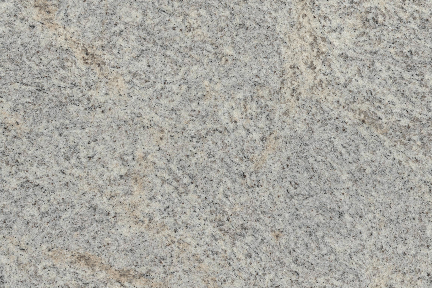 KASHMIR BIANCO