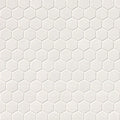 Domino 1-inch and 2-inch Hexagon Porcelain Mosaic — clean product view