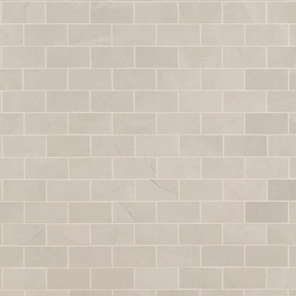 Sande 2x4 Polished Porcelain Mosaic product view