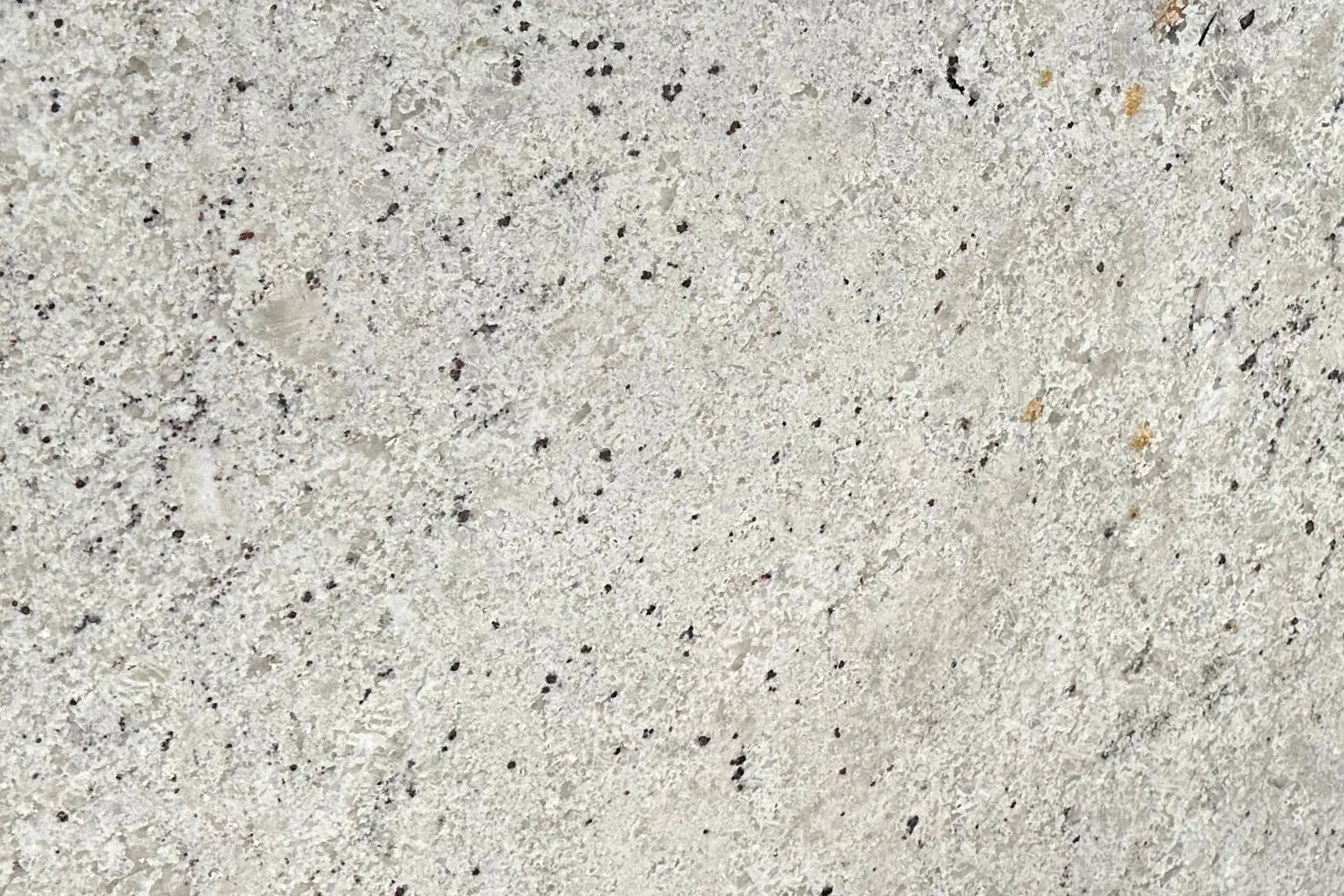 NEW COLONIAL CREAM