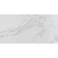 Praia Matte and Polished Marble-Look Porcelain Tile product view
