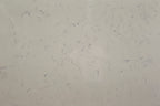BIANCO SWAN SPC