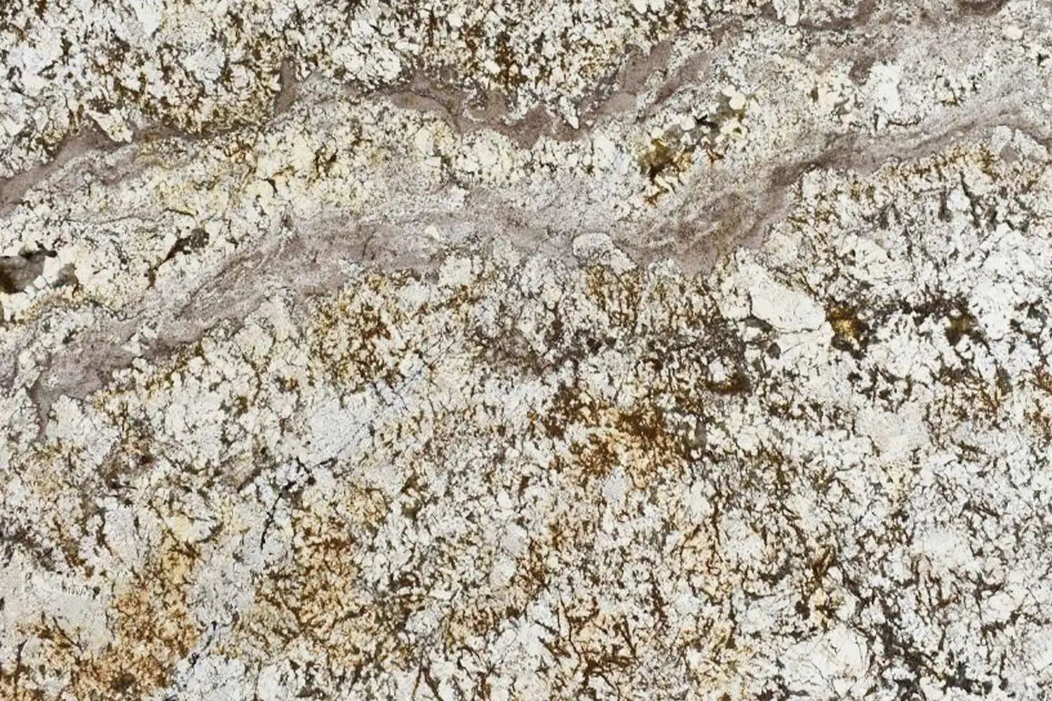 TERRANOVA