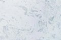 TESORO BIANCO