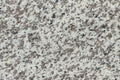 TIGER SKIN WHITE
