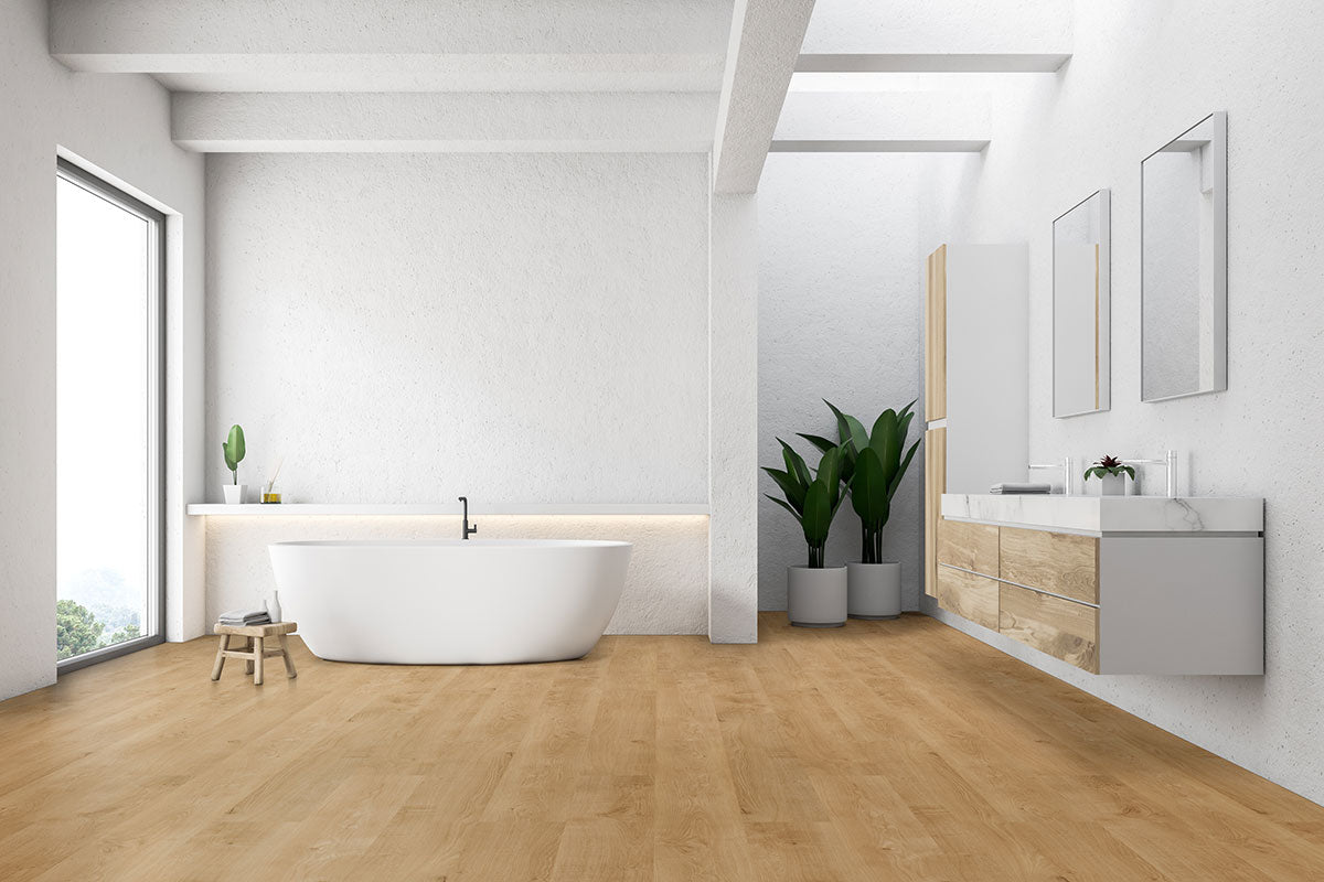 Acclima Glue-Down Luxury Vinyl Plank — installed room view — color Mt Sande