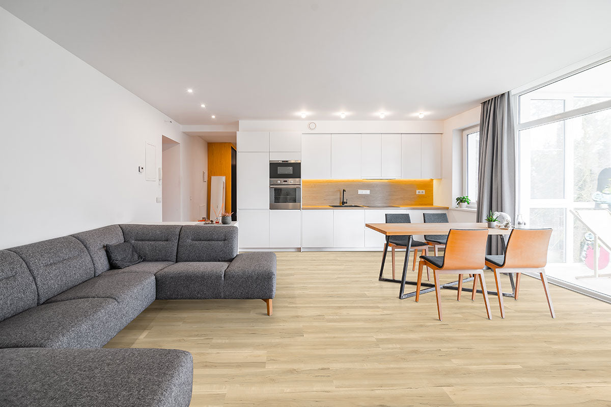 Acclima Glue-Down Luxury Vinyl Plank — installed room view — color Runmill Isle