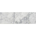 Arabescato Carrara Honed and Polished Marble Tile — clean product view