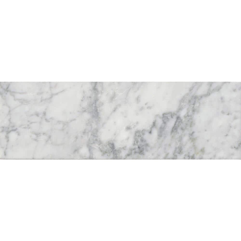 Arabescato Carrara Honed and Polished Marble Tile — clean product view