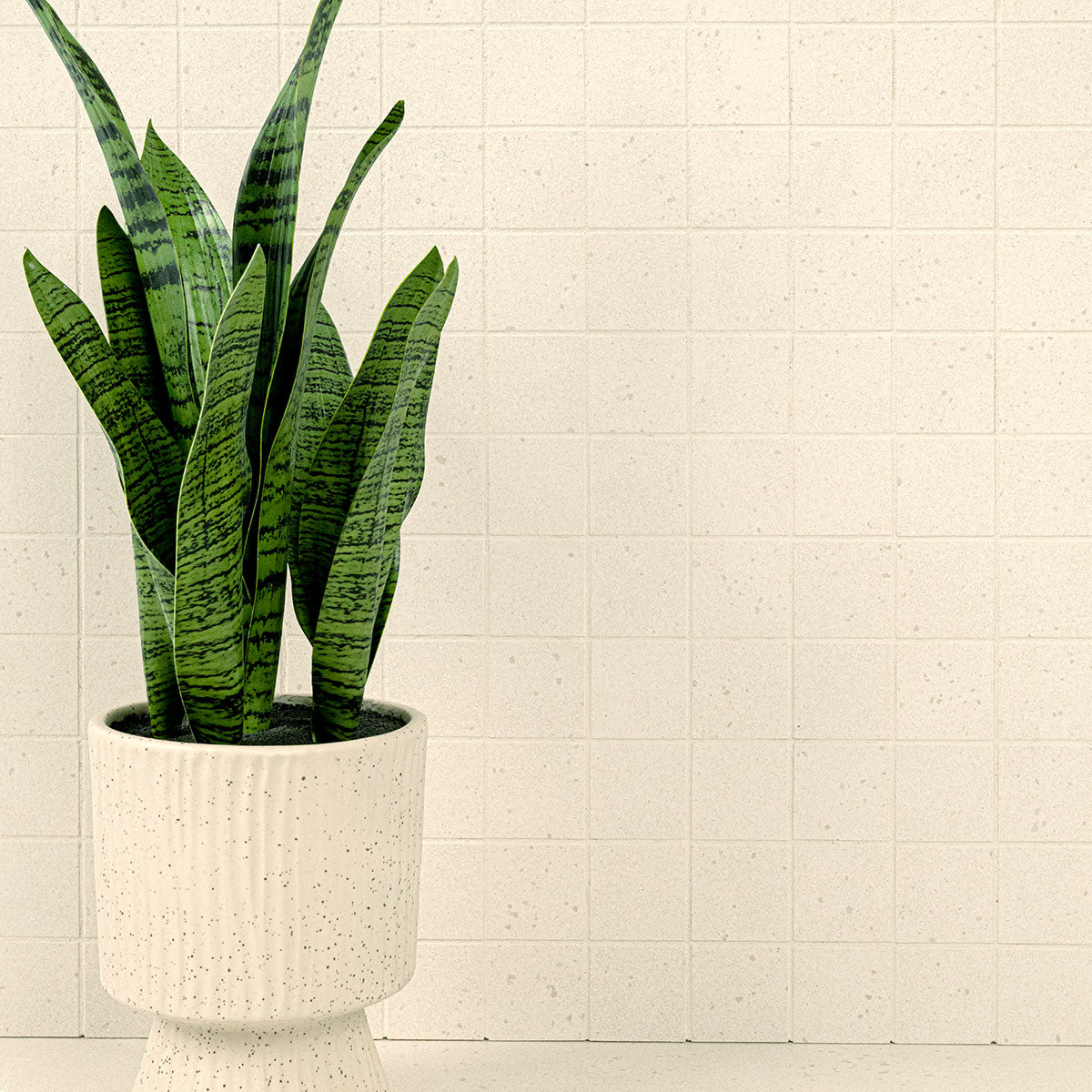 Architecta 2x2 Porcelain Mosaic — installed room view — color Glacier