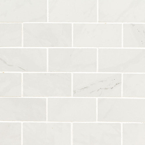 Aria Ice 2x4 chip mosaic — MSI NARICE2X4P