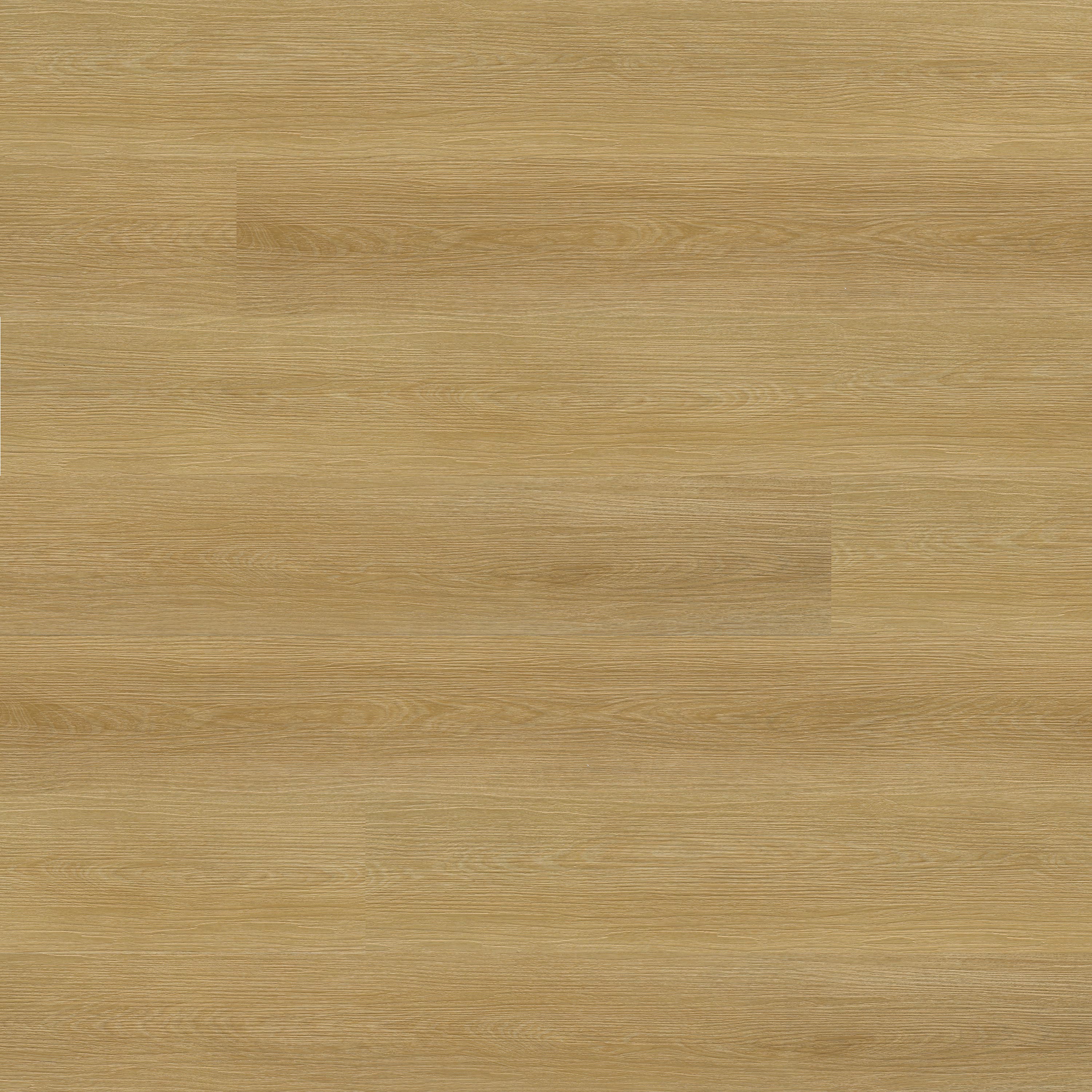 Ashton 2.0 Waterproof Rigid Core Luxury Vinyl Plank — clean product view — color Baystone