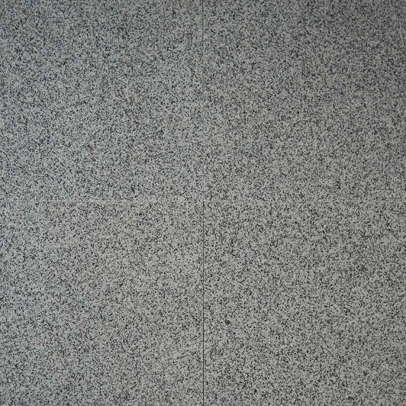 Bianco Catalina Granite Tile — clean product view — color White / gray / black speckle