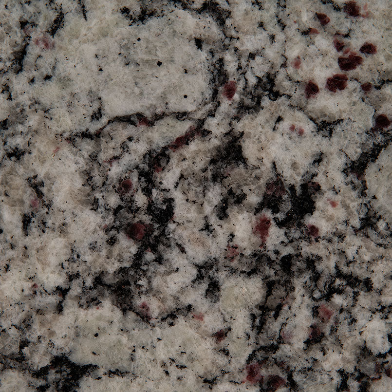 Bianco Frost Granite Slab — detail