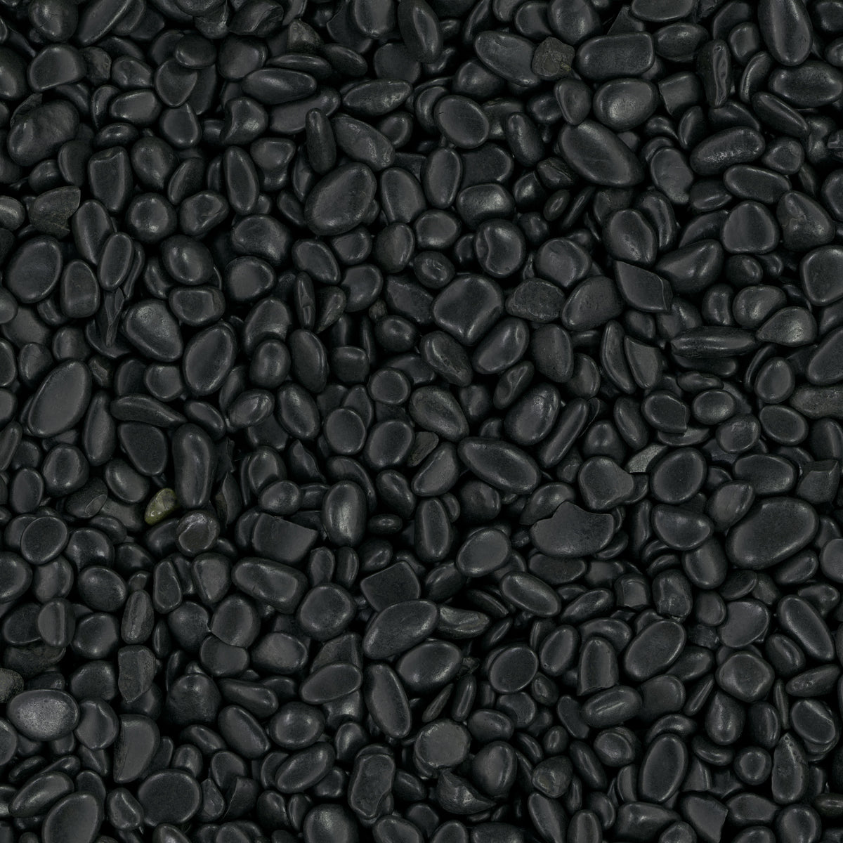 Black Landscape Pebbles - product detail (representative)