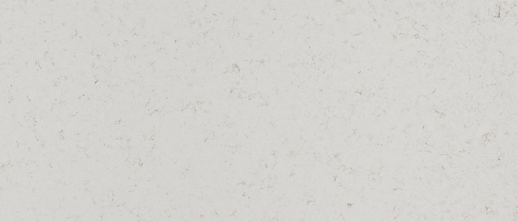 Blanca Statuarietto quartz — close up