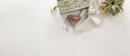 Calacatta Botanica quartz — vignette