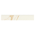 Eden Calacatta Bullnose, supplier illustration (NEDECAL4X24BN)