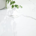 Glenridge 12x24 2mm 12mil Glue-Down Luxury Vinyl Tile — installed room view — color Calacatta Serra