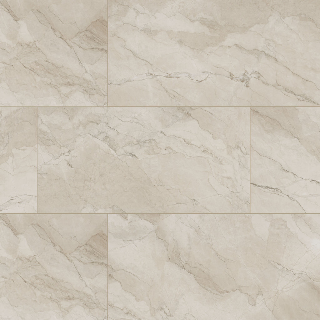 Camuflage 24x48 Matte Porcelain Tile — clean product view — color Cool gray with green veining