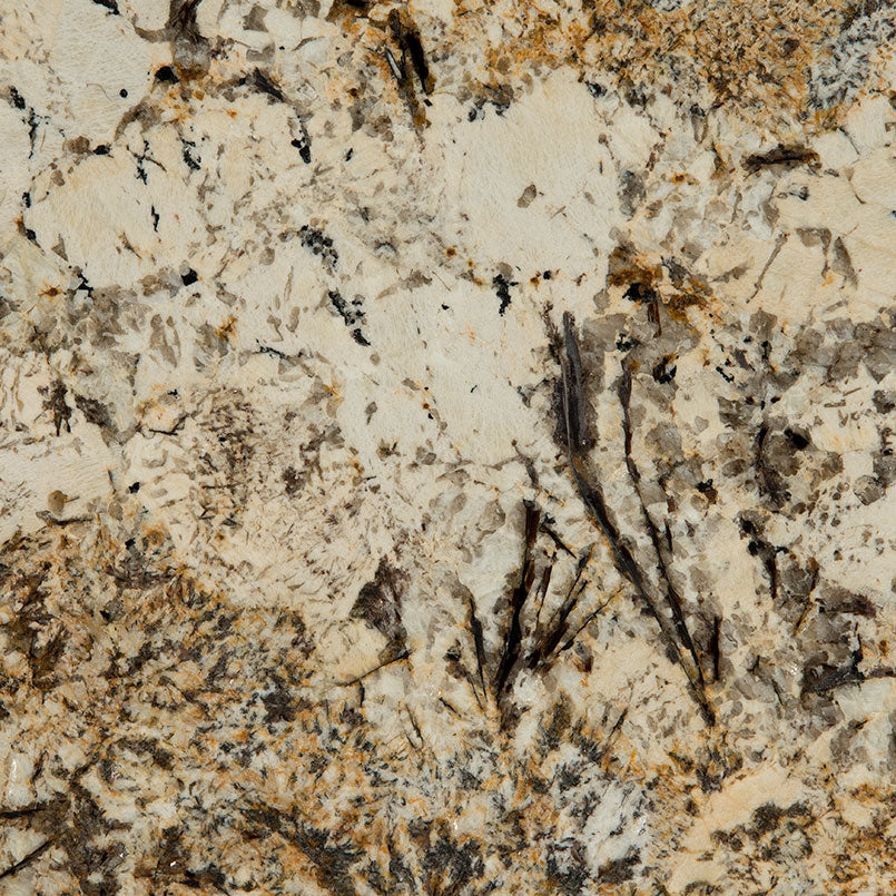 Caravelas Gold Granite Slab — detail