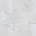 Praia Carrara Field Tile, supplier illustration (NPRACAR1224)