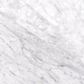 Carrara White Marble Tile product view
