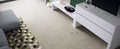 Monza Marbello 35x35 Matte and Polished Porcelain Tile — installed room view