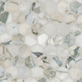 Coronado 2-inch Hexagon Honed Marble Mosaic — clean product view