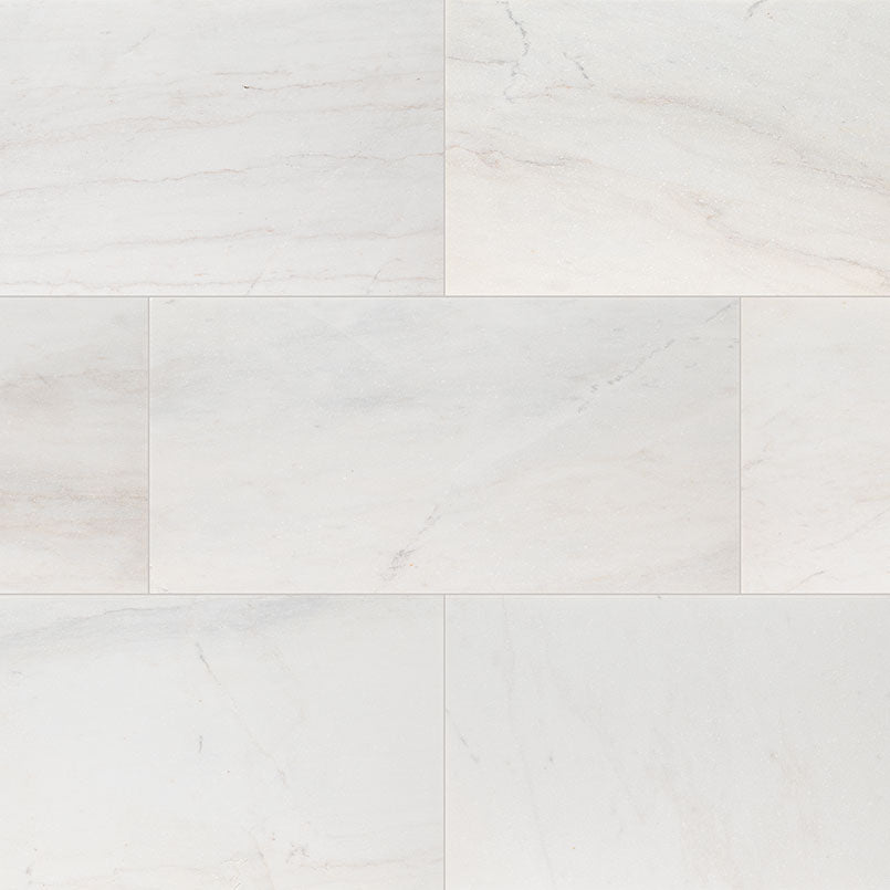 Cosmic White Natural Stone Paver - product detail (representative)