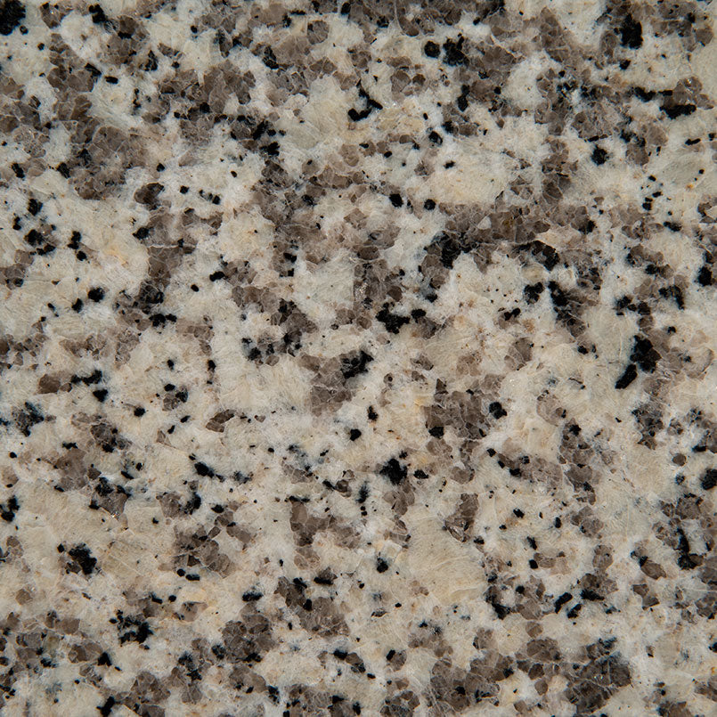 Crema Atlantico Granite Slab — detail