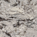 Delicatus White Granite Slab — detail