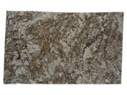 Desert Beach Granite Slab — representative full slab