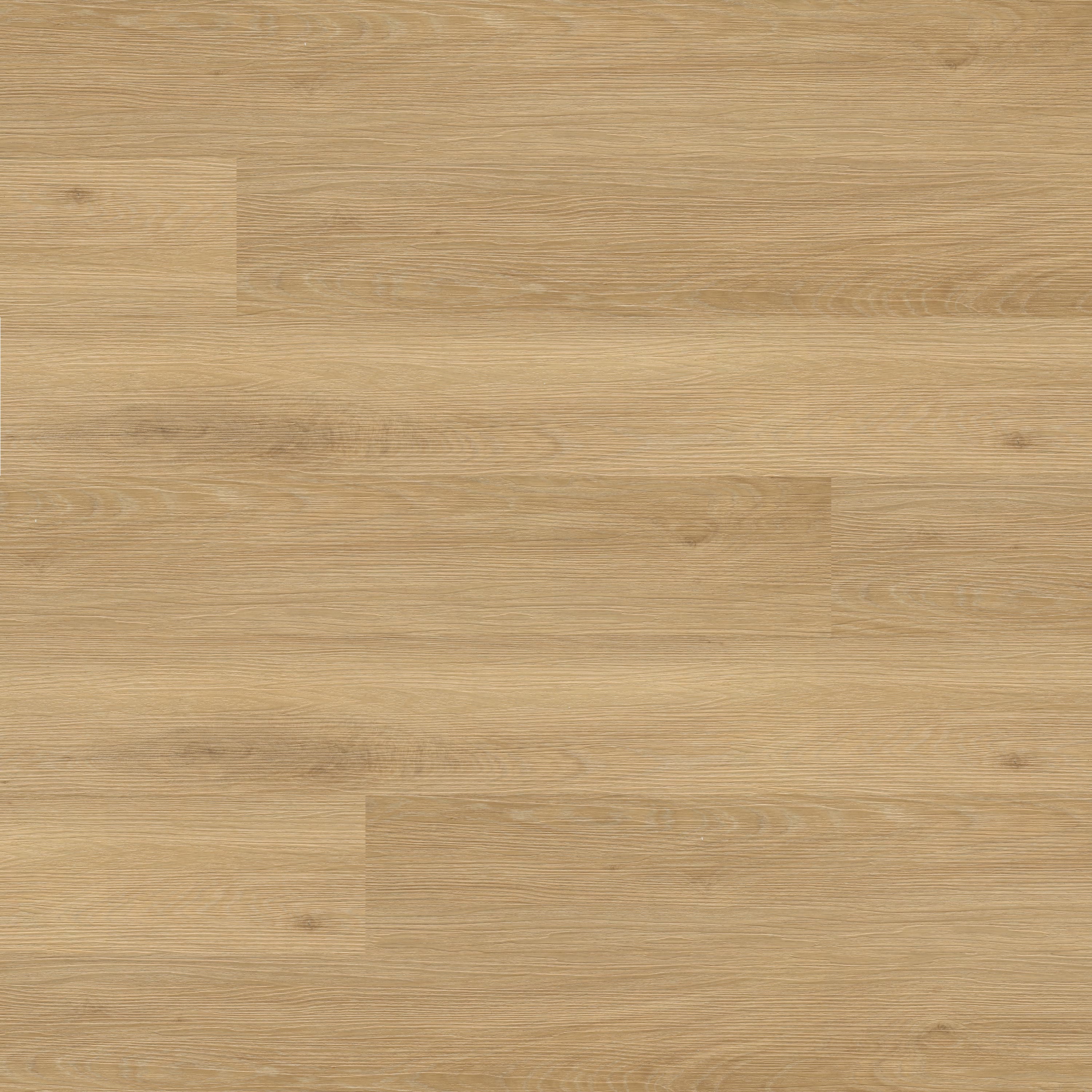 Ashton 2.0 Waterproof Rigid Core Luxury Vinyl Plank — clean product view — color Dunmere