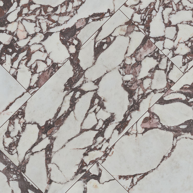 Exotika Violetta 24x48 Polished Porcelain Tile — isometric scale view
