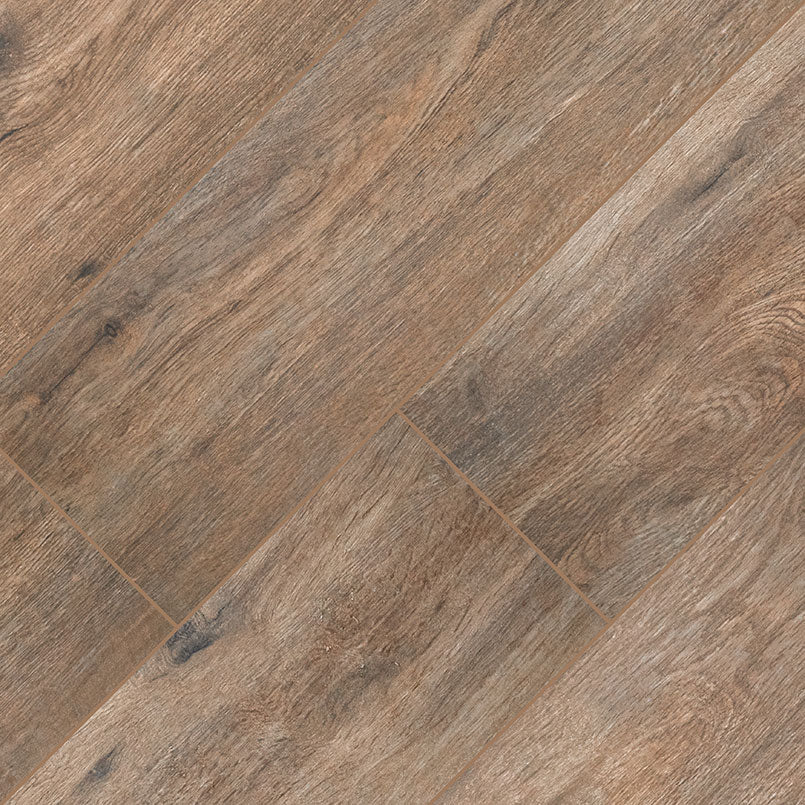 Fauna Porcelain Paver - iso (representative)