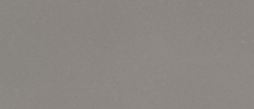 Fossil Gray quartz — close up