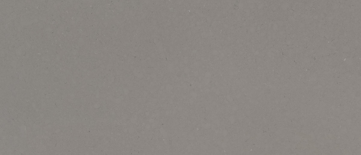 Fossil Gray quartz — close up