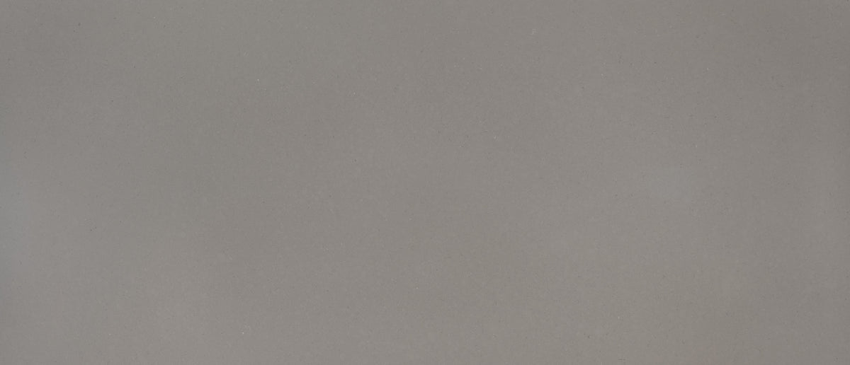 Fossil Gray quartz — slab