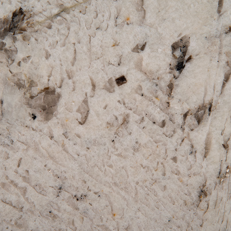 Gray Nuevo material close-up