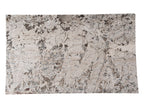 Gray Nuevo Granite Slab — representative full slab