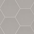 Hexley 9x10.5 Matte Porcelain Hexagon Tile product view
