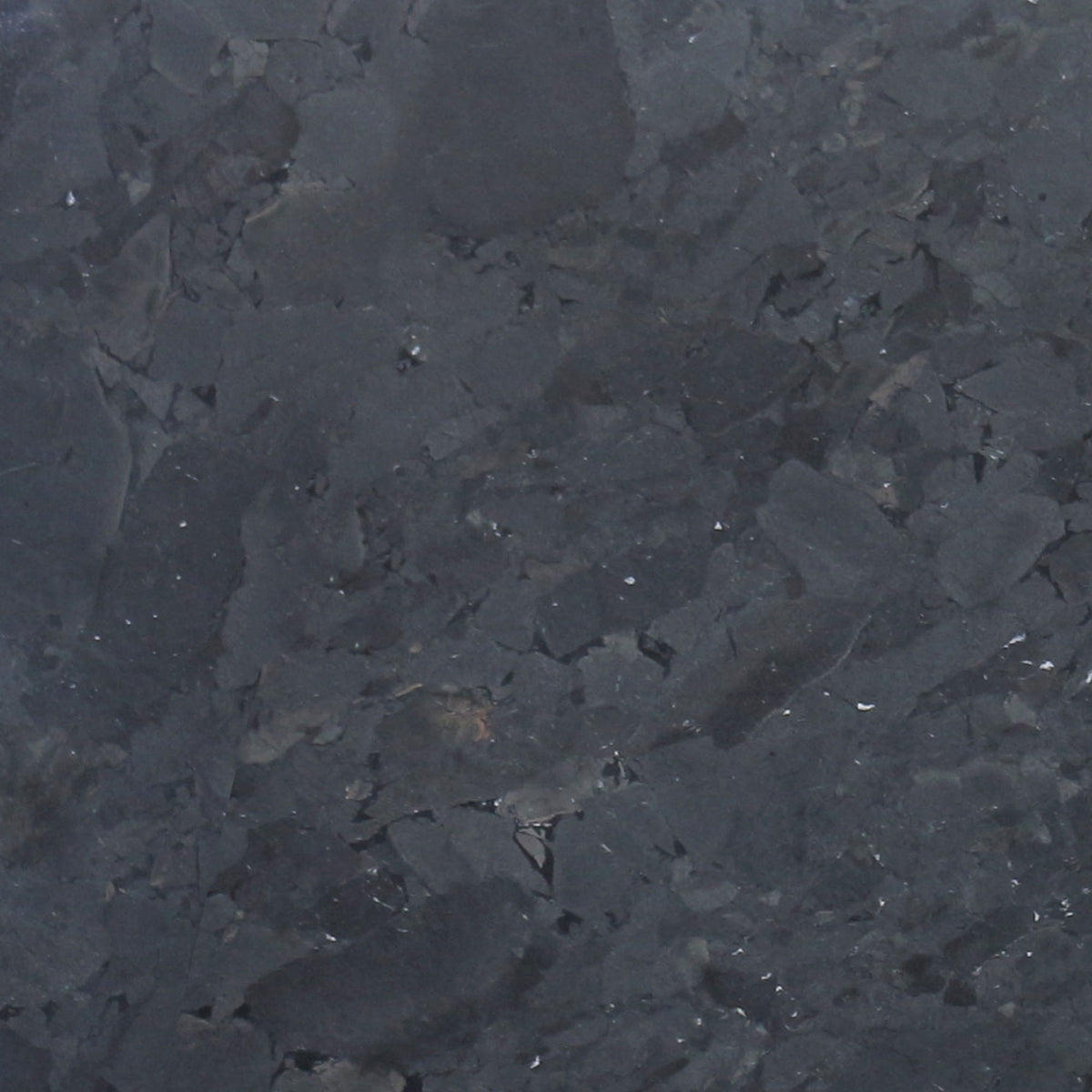 Infinity Black Quartzite Slab — detail