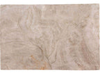 Madreperola Quartzite Slab — representative full slab