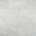 Greecian White 3x6 Polished Marble Subway Tile — clean product view