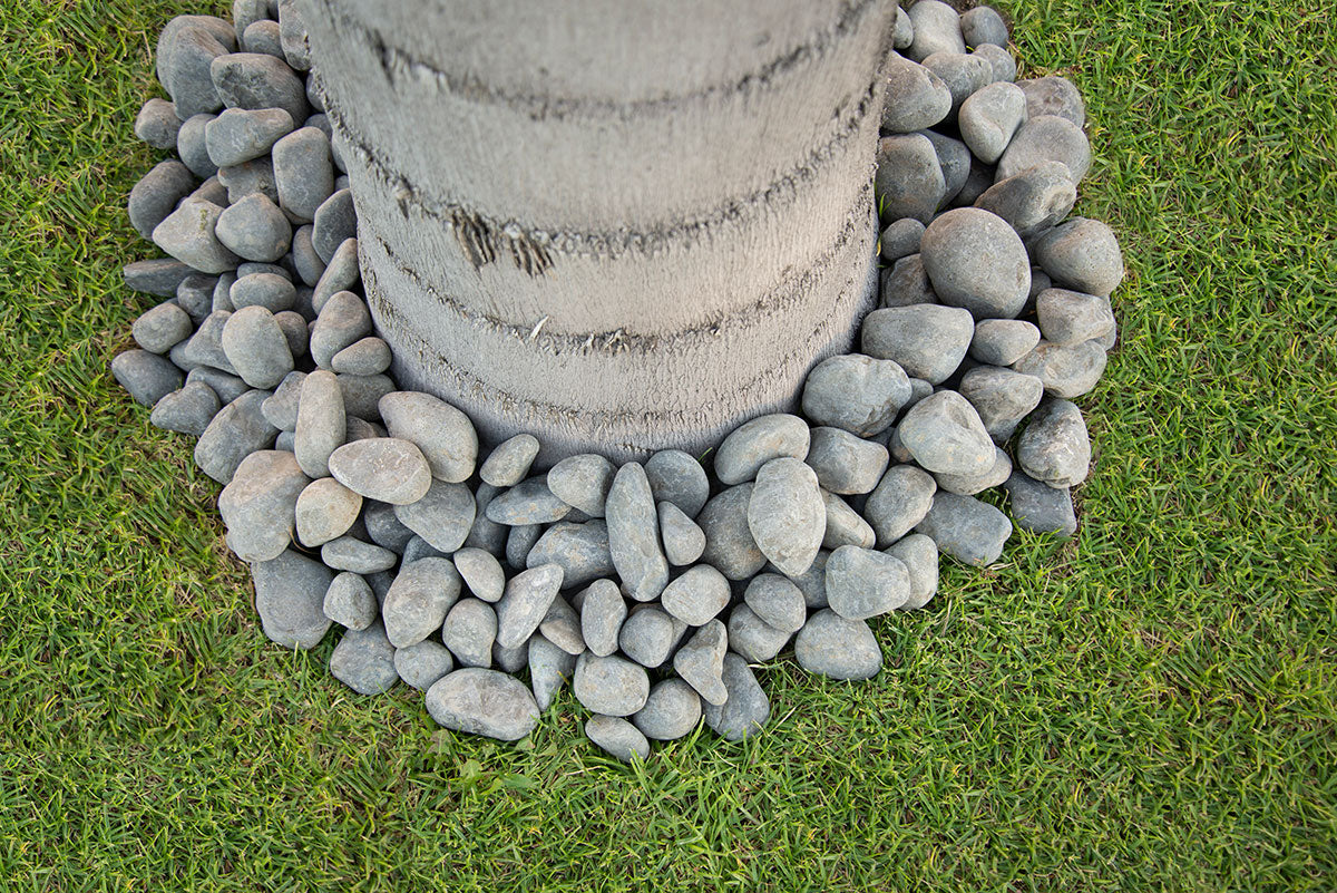 Nile Gray Landscape Pebbles - product detail (representative)