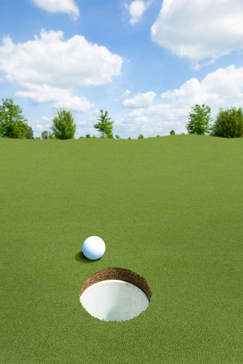 Putting Green Artificial Turf - installed example (representative)