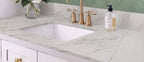 Calacatta Viraldi countertop room inspiration; installation shown is illustrative